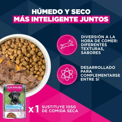 Eukanuba Premium Nutrition Senior Large & Giant Breed cordero y arroz
