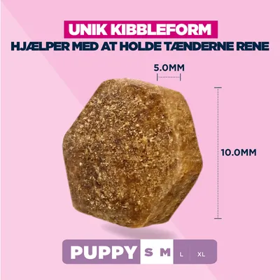 Eukanuba Premium Nutrition Puppy Small & Medium Breed Lamm & Reis