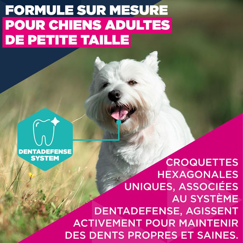 Eukanuba Premium Nutrition Adult Small Breed au poulet