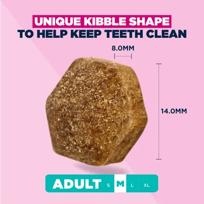 Eukanuba Premium Nutrition Adult Medium Breed csirke