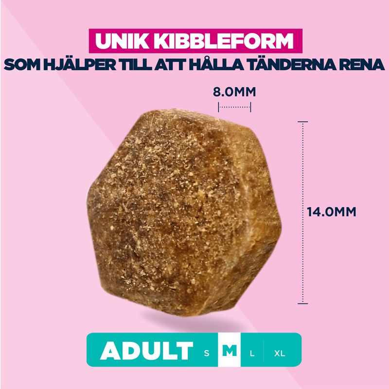 Eukanuba Premium Nutrition Adult Medium Breed Chicken
