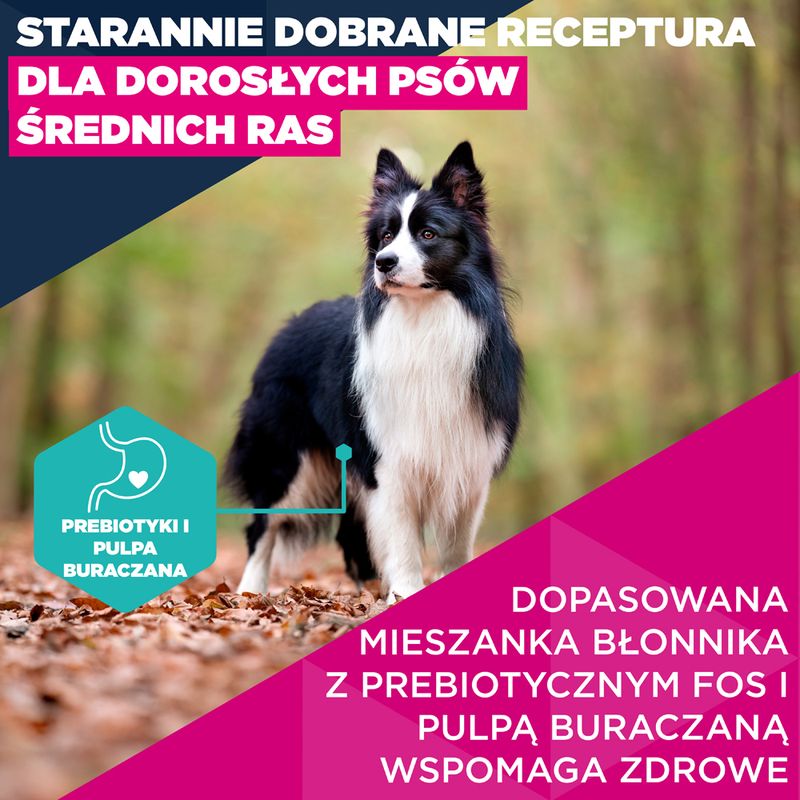 Eukanuba Premium Nutrition Adult Medium Breed, kurczak