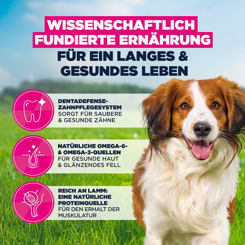 Eukanuba Premium Nutrition Adult Small & Medium Breed Lamm & Reis
