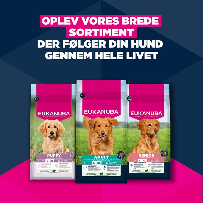 Eukanuba Premium Nutrition Adult Large & Giant Breed Lam & Ris