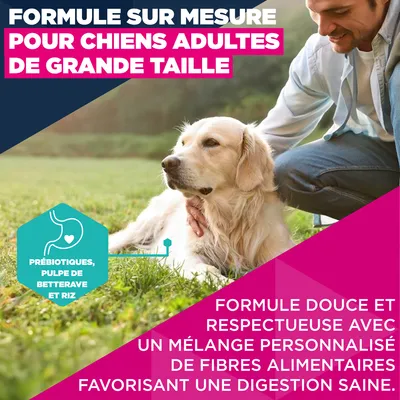 Eukanuba Premium Nutrition Adult Large et Giant Breed Agneau et Riz