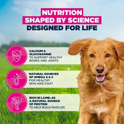 Eukanuba Premium Nutrition Adult Large & Giant Breed bárány & rizs