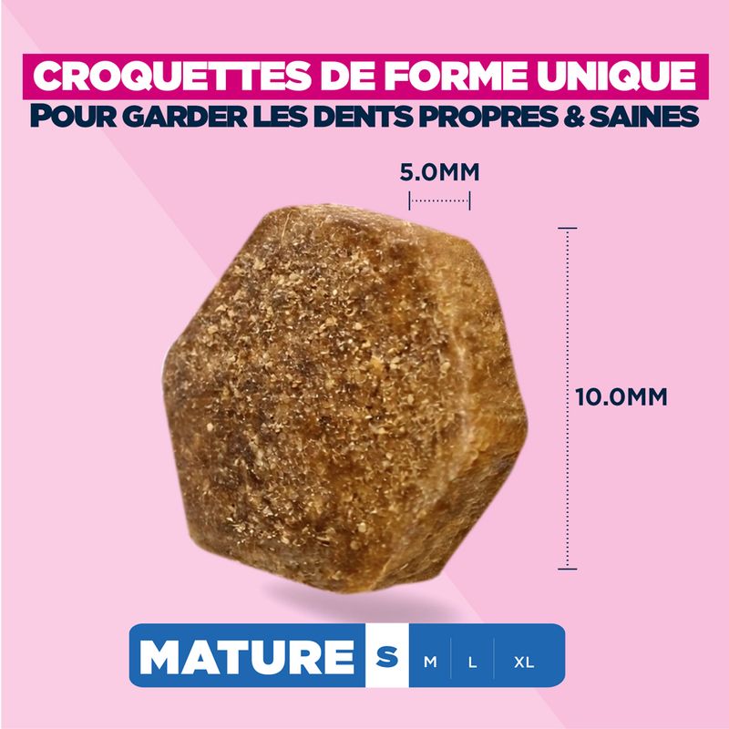 Eukanuba Premium Nutrition Mature Small Breed au poulet