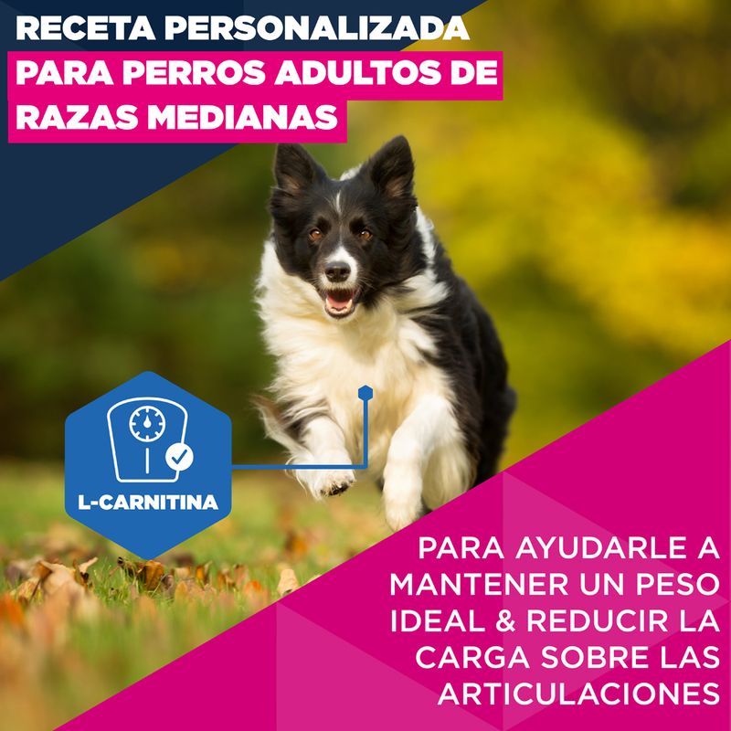 Eukanuba Premium Nutrition Mature Medium Breed pollo