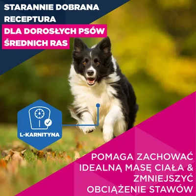 Eukanuba Premium Nutrition Mature Medium Breed, kurczak