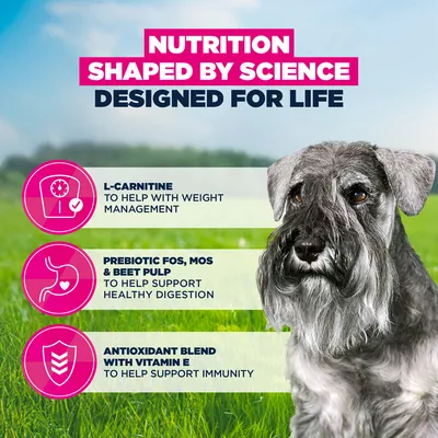 Eukanuba Premium Nutrition Senior Small Breed csirke