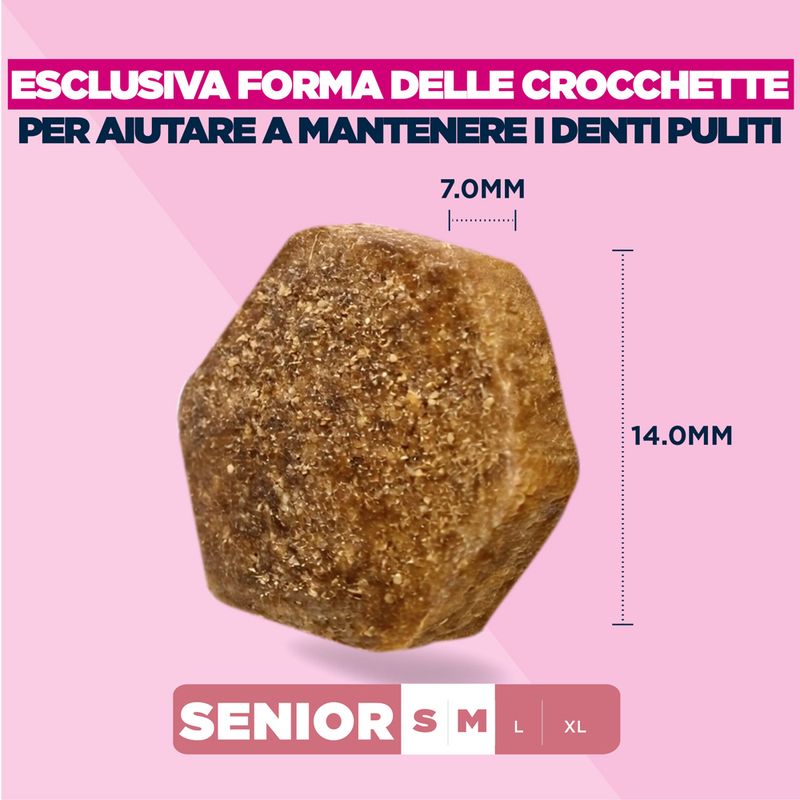 Eukanuba Premium Nutrition Senior Small & Medium Breed Agnello & Riso