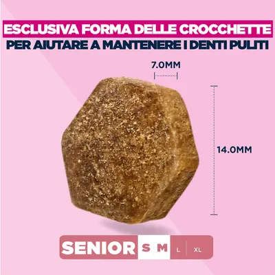 Eukanuba Premium Nutrition Senior Small & Medium Breed Agnello & Riso