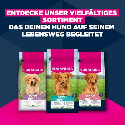 Eukanuba Premium Nutrition Senior Large & Giant Breed jagnjetina in riž