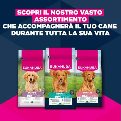 Eukanuba Premium Nutrition Senior Large & Giant Breed Agnello & Riso
