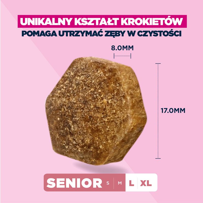 Eukanuba Premium Nutrition Senior Large & Giant Breed, jagnięcina i ryż