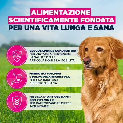 Eukanuba Premium Nutrition Senior Large & Giant Breed Agnello & Riso