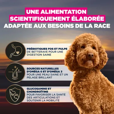 Aliment développé scientifiquement, adapté aux besoins spécifiques de la race : prébiotiques pour la digestion, oméga 6 et 3 pour la peau et la fourrure, glucosamine et chondroïtine pour les articulations et la mobilité. Aliment développé scientifiquement, adapté aux besoins spécifiques de la race : prébiotiques pour la digestion, oméga 6 et 3 pour la peau et la fourrure, glucosamine et chondroïtine pour les articulations et la mobilité.