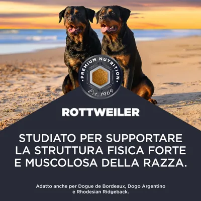 Rottweiler. Sviluppato per il sostegno di una struttura corporea forte e muscolosa. Adatto anche per Dogue de Bordeaux, Dogo Argentino e Rhodesian Ridgeback.
