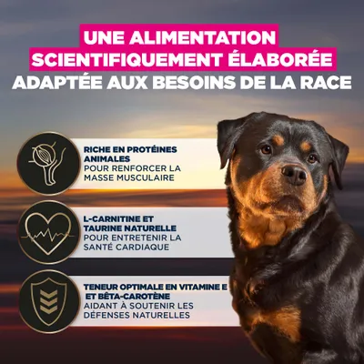 Alimentation développée scientifiquement, adaptée aux besoins spécifiques de la race. Riche en protéines animales, L-Carnitine et taurine, teneur optimale en vitamine E et en bêta-carotène. Alimentation développée scientifiquement, adaptée aux besoins spécifiques de la race. Riche en protéines animales, L-Carnitine et taurine, teneur optimale en vitamine E et en bêta-carotène.