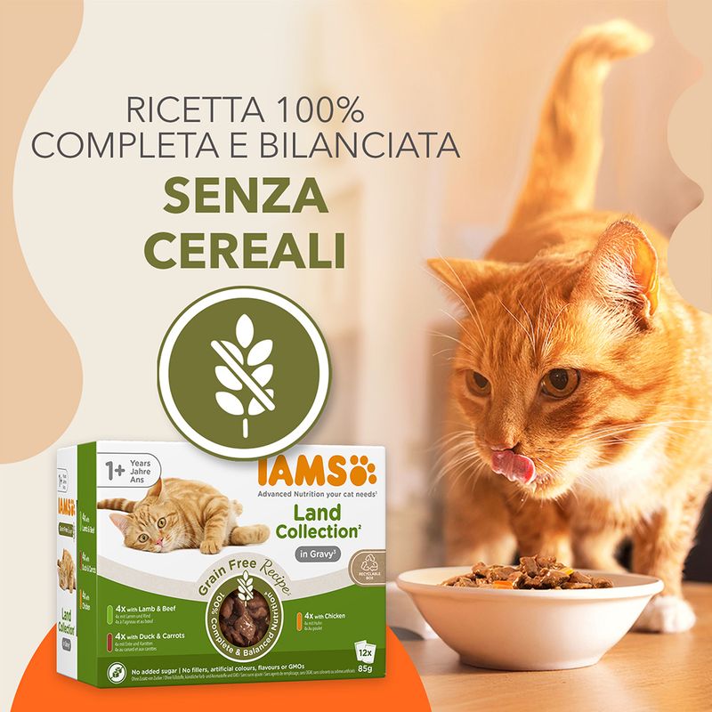 IAMS Advanced Nutrition Grain Free Land Collection in Salsa