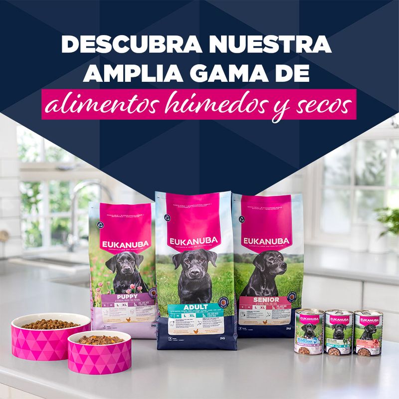 Eukanuba Puppy Rico en pavo con zanahoria