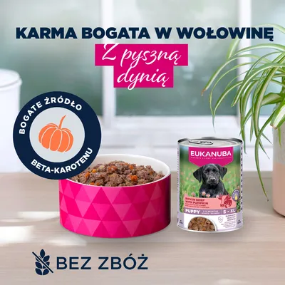 Eukanuba Puppy, wołowina z dynią