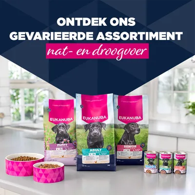 Eukanuba Puppy, Adult en Senior droogvoer en diverse natvoerblikken op een keukenwerkblad. Tekst: Ontdek ons gevarieerde assortiment nat- en droogvoer. Eukanuba Puppy, Adult en Senior droogvoer en diverse natvoerblikken op een keukenwerkblad. Tekst: Ontdek ons gevarieerde assortiment nat- en droogvoer.