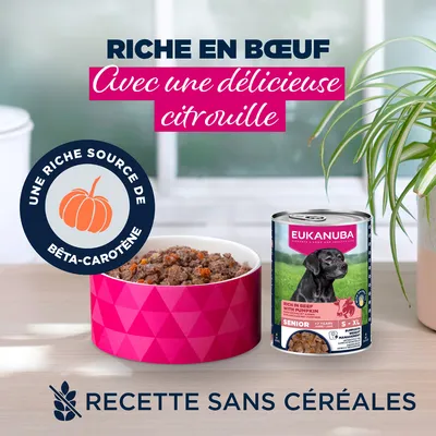 Eukanuba Senior Riche en Bœuf et Citrouille