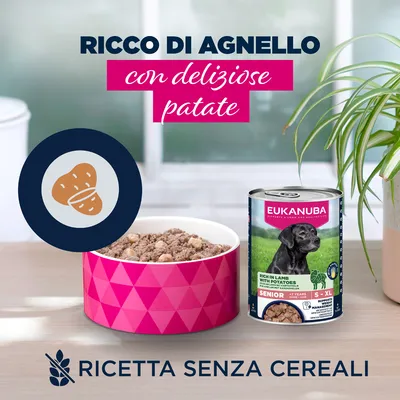 Eukanuba Senior ricco di Agnello con patate