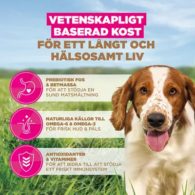 Eukanuba Grain Free Adult Small / Medium Breed Ocean Fish