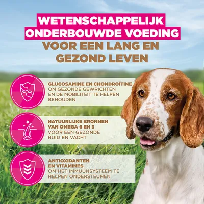 Eukanuba Graine Free Senior Small & Medium Zeevis