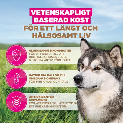 Eukanuba Senior Large Breed Grain Free Ocean Fish