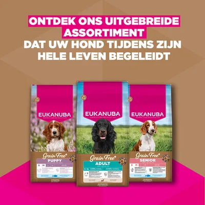 Eukanuba Grain Free Adult met Wild 12kg