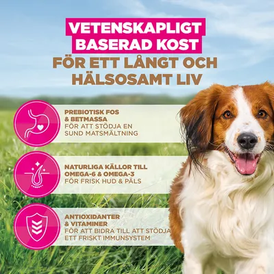 Eukanuba Grain Free Adult Small & Medium Breed Lamb