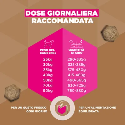 Eukanuba Grain Free Adult Large con Agnello