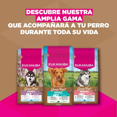 Eukanuba Grain Free Adult Large con cordero