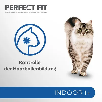 Perfect Fit Indoor 1+. Karvapallojen hallinta. Tukee kehon kokonaisvaltaista terveyttä.
