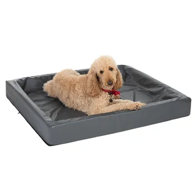 Hund liegt auf grauem rechteckigem Hundebett mit erhöhtem Rand.