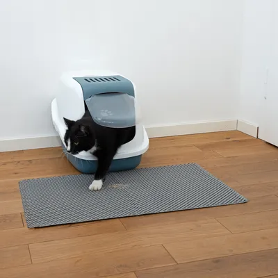Gato negro sale de un arenero cerrado con alfombrilla gris delante, sobre suelo de madera.