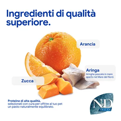 N&D Ocean componenti: arancia, zucca, aringa del Mare del Nord. Proteine di alta qualità per pasti equilibrati. N&D Ocean componenti: arancia, zucca, aringa del Mare del Nord. Proteine di alta qualità per pasti equilibrati.