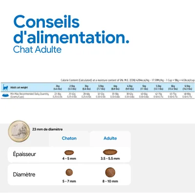 Recommandation d’alimentation pour chats adultes selon le poids, en grammes et en cups, comparaison de la taille des croquettes : chatons 5-7 mm de diamètre, adultes 8-10 mm, épaisseur 3,5-5,5 mm. Recommandation d’alimentation pour chats adultes selon le poids, en grammes et en cups, comparaison de la taille des croquettes : chatons 5-7 mm de diamètre, adultes 8-10 mm, épaisseur 3,5-5,5 mm.