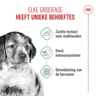 Royal Canin Medium Puppy Hondenvoer in Saus