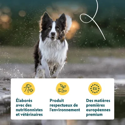 Développé avec des nutritionnistes et des vétérinaires, produit respectueux de l'environnement, matières premières de qualité supérieure provenant d'Europe. Développé avec des nutritionnistes et des vétérinaires, produit respectueux de l'environnement, matières premières de qualité supérieure provenant d'Europe.