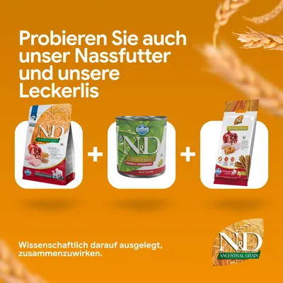 Probieren Sie auch unser Nassfutter und unsere Leckerlis. Wissenschaftlich darauf ausgelegt, zusammenzuwirken. Abgebildet: N&D Trockenfutter, Nassfutter, Dental Treat. Probieren Sie auch unser Nassfutter und unsere Leckerlis. Wissenschaftlich darauf ausgelegt, zusammenzuwirken. Abgebildet: N&D Trockenfutter, Nassfutter, Dental Treat.