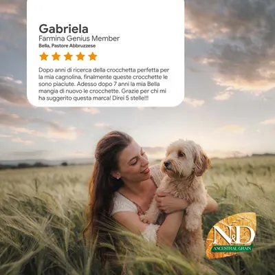 Valutazione cliente di Gabriela: Dopo una lunga ricerca, la mia Bella finalmente mangia queste crocchette. Grazie per il consiglio, 5 stelle! Marca: N&D Ancestral Grain.