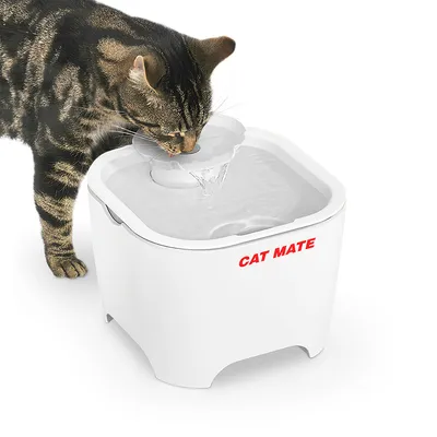 Kat drinkt uit een witte drinkfontein met stromend water. Op de fontein staat het merk 'CAT MATE'.