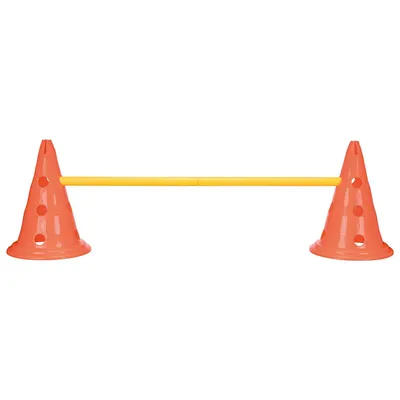 Trainingsset mit zwei orangefarbenen Kegeln und einer gelben Stange, ideal für Agility-Übungen.
