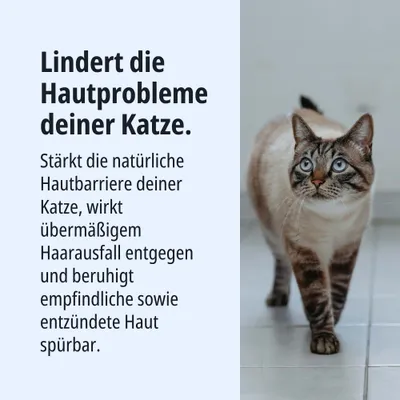 Lindert Hautprobleme deiner Katze, stärkt die natürliche Hautbarriere, wirkt gegen übermäßigen Haarausfall und beruhigt empfindliche sowie entzündete Haut spürbar. Lindert Hautprobleme deiner Katze, stärkt die natürliche Hautbarriere, wirkt gegen übermäßigen Haarausfall und beruhigt empfindliche sowie entzündete Haut spürbar.