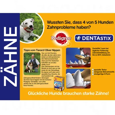 Инфографика о проблемах зубов у собак, бренды Pedigree и Dentastix, советы ветеринара, текст на немецком языке, фото собаки, изображение упаковки Pedigree Dentastix.