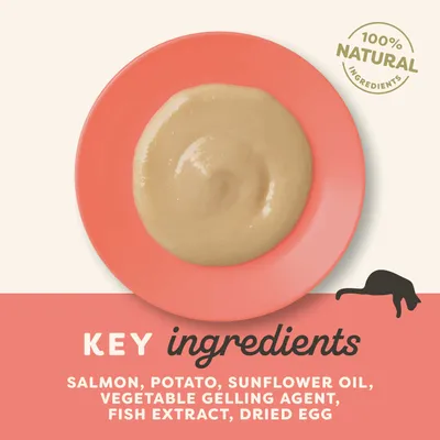 Ekonomipack: Applaws Creamy Treat 32 x 15 g